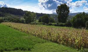 Teren intravilan 2405mp,  Campulung Muscel