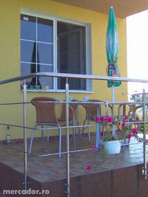 Vila Domnesti la strada
