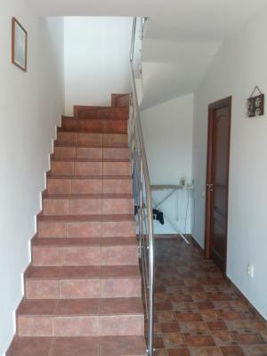 Vila Domnesti la strada