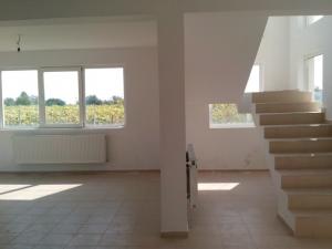Vila Ciorogarla Padure
