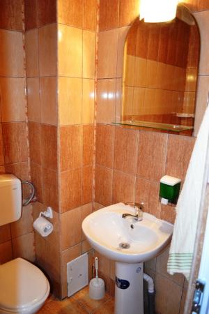 Inchirieri Camere Studenti Constanta Delfinariu