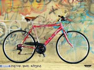Bicicleta Wega,  vopsea custom "snake skin",  roti 28"(city/trekking)
