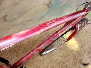 Bicicleta Wega,  vopsea custom "snake skin",  roti 28"(city/trekking)