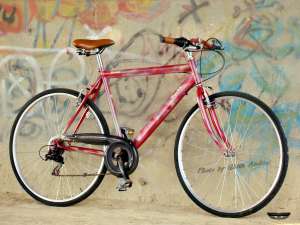 Bicicleta Wega,  vopsea custom "snake skin",  roti 28"(city/trekking)