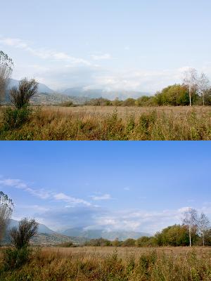 Curs Adobe Camera Raw