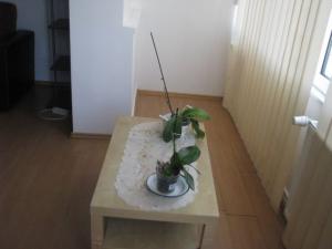 Apartament 2 camere de vanzare zona Grivitei,   Bucuresti