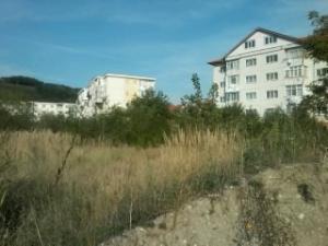 imobil service international teren intravilan zona politia deschidere 15m