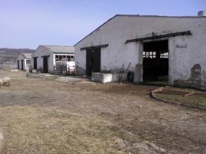 imobil service international vinde ferma de animale