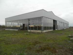 Hala industriala Satu Mare