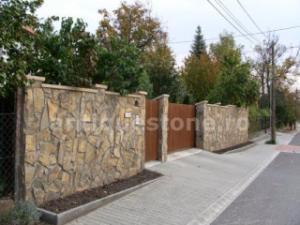 PIATRA NATURALA - PIATRA INDIANA
