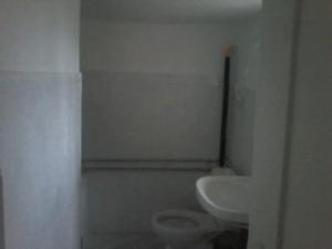 imobil  service international casa meris anexe garaj gradina cu vie