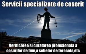 Servicii de coserit(hornar)