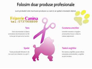 Frizerie Canina, TUND CAINI