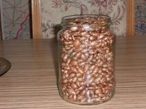 vand seminte de ricin