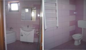 Vile Clinceni 49900 euro la cheie