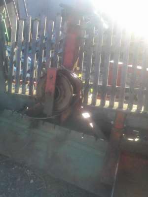Troliu Forestier 2 buc Import
