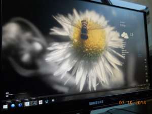 Vand Monitor LCD Samsung P2350N 23 inchi