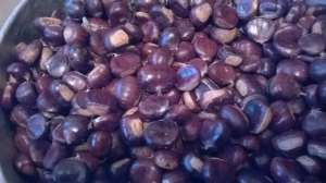 castane