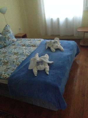 Vand pensiune Mako Ungaria