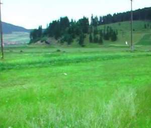 vand terenuri 5,  65 ha M.CIUC-oras si statiune
