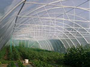 solarii pt legume si flori import ungaria