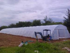 solarii pt legume si flori import ungaria