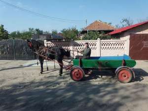 caruta de vanzare