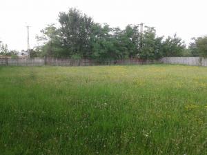 2 case+teren vanzare