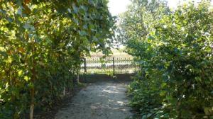 Gruiu Snagov casa 275 teren intravilan 2660mp d=15ml DJ101C proprietar