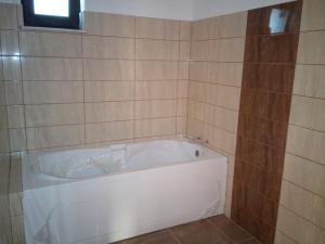 Constructii,     amenajari interioare,     hidroizolatii, 