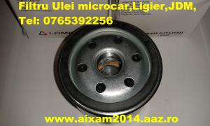 Filtru Ulei Microcar Ligier