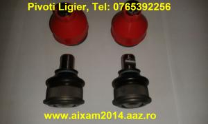 Pivoti Ligier