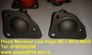 Pivot Microcar