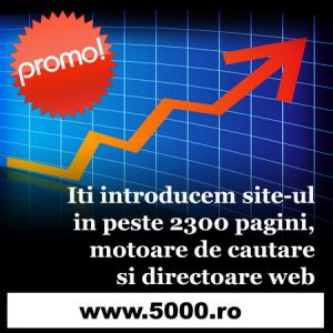 10 EURO - Promovare in 2300 de site-uri