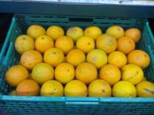 portocale , mandarine