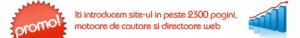 10 EURO - Promovare in 2300 de site-uri