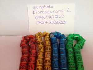 DA VANZARE INELE 2013 ;FCPR FCI 2013,  UCPR ROZ 2013,  UCPR ALBE 2013,  ORNAMENT 7,  8,  9,  10MM,  