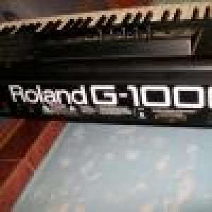 vand roland g 1000