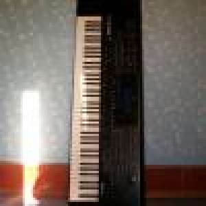 vand roland g 1000