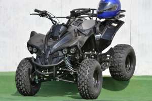 ATV Renegade UQ,  125 cmc, 