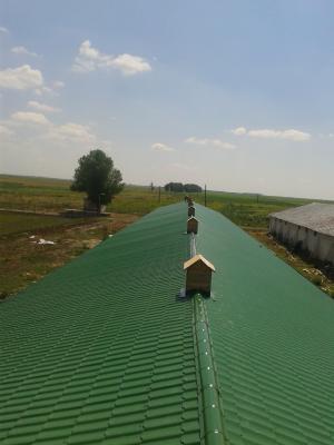 montaj invelitori