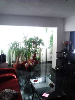 Apartament 3 camere