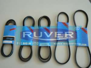 Curea transmisie Alfa Romeo,  Audi,  BMW,  Citroen,  Fiat,  Jaguar,  Opel