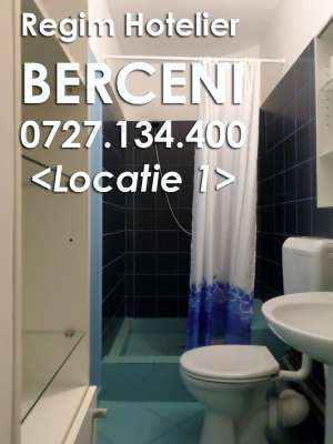 Cazare regim hotelier berceni