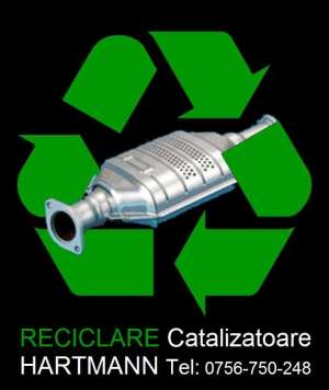 Cumparam catalizatoare