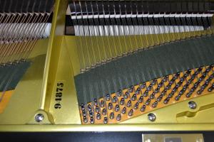 Vand pian Bechstein