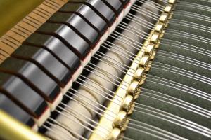 Vand pian Bechstein