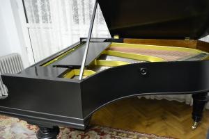 Vand pian Bechstein