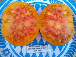 VAND SEMINTE DE TOMATE SOIURI RARE ORGANICE BIO