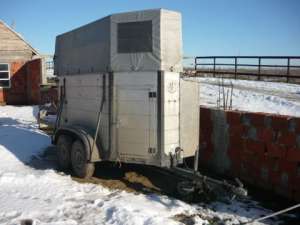 vand remorca transport cai 1200kg